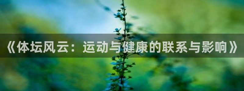 海南凯发官网下载