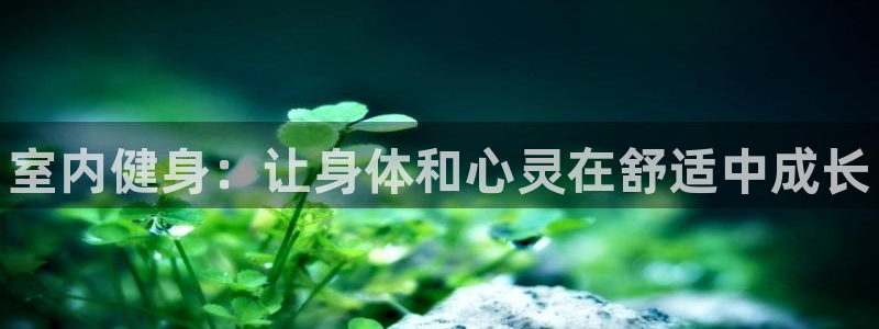 凯发官方平台体育：室内健身：让身体和心灵在舒适中成长
