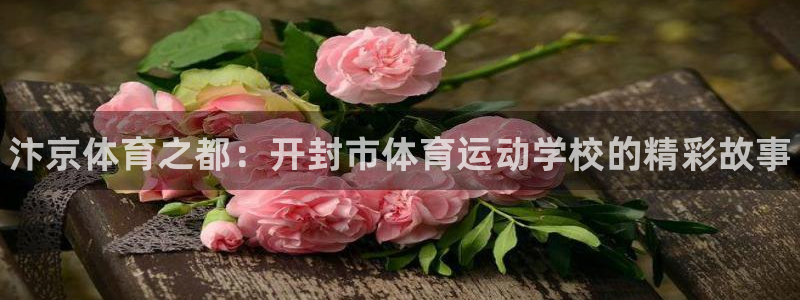 凯发官方正版app科技：汴京体育之都：开封市体育运动