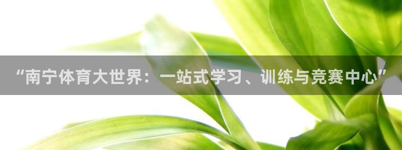 凯发官网下载软件