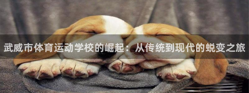 凯发官方正版app集团：武威市体育运动学校的崛起：从