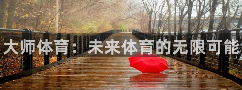 凯发官网下载平台注册流程图：大师体育：未来体育的无限