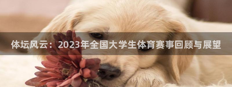 凯发官方正版app集团E.ON