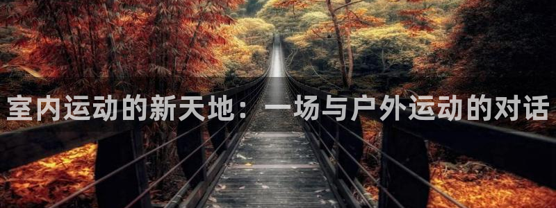 凯发官网下载平台是正规平台吗安全吗：室内运动的新天地：一场与