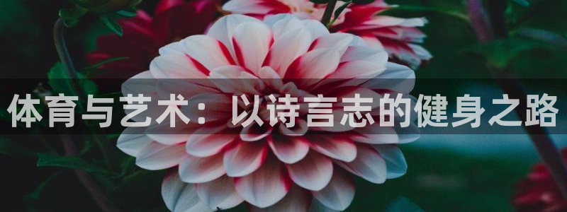 凯发官网下载平台：体育与艺术：以诗言志的健身之路