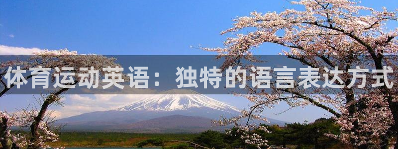 凯发官网下载：体育运动英语：独特的语言表达方式