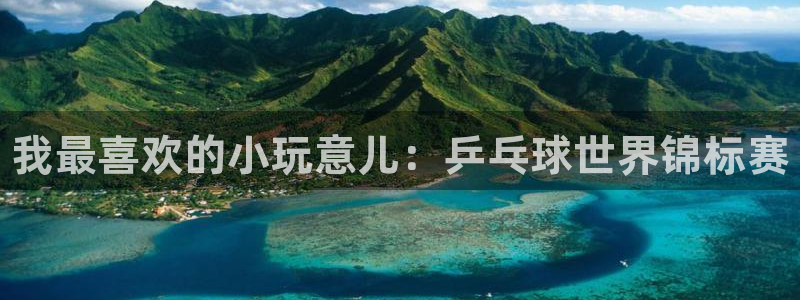 凯发官网下载招商电话地址查询：我最喜欢的小玩意儿：乒