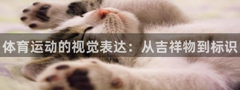 凯发官方正版app集团官网首页网址：体育运动的视觉表
