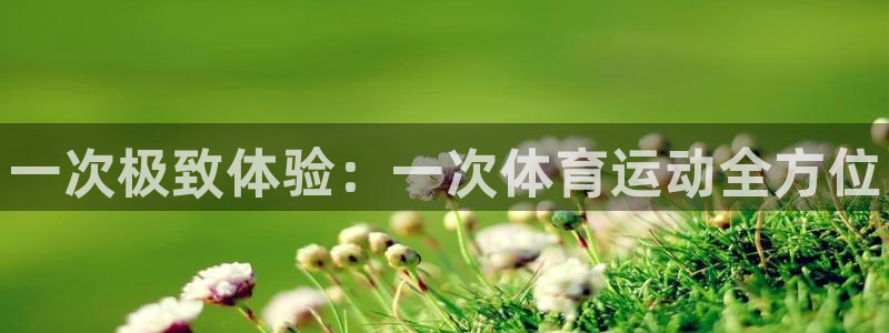 凯发官网下载招商：一次极致体验：一次体育运动全方位