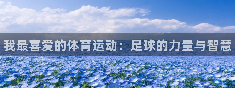 凯发官方正版app娱乐：我最喜爱的体育运动：足球的力