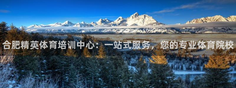 凯发官网下载平台注册要钱吗：合肥精英体育培训中心：一站式服务