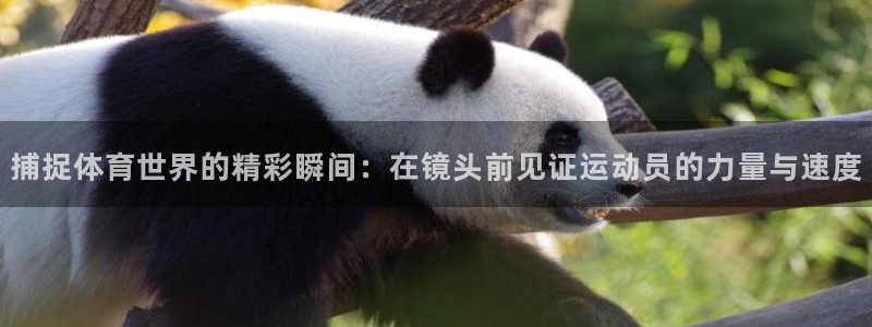 凯发官网下载平台注册要钱吗是真的吗：捕捉体育世界的精