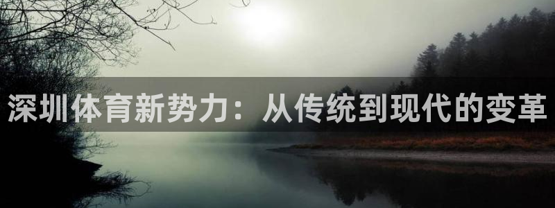 凯发官方正版app娱乐网站：深圳体育新势力：从传统到