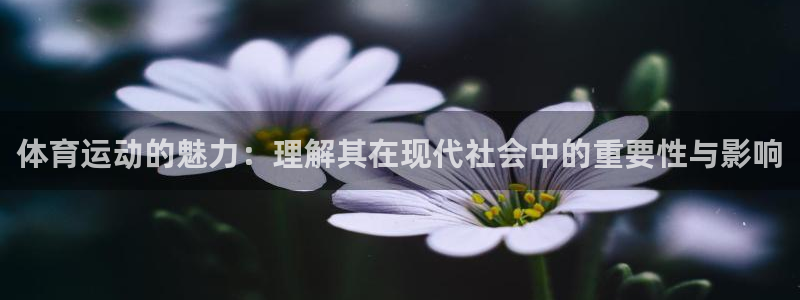 凯发官方正版app集团：体育运动的魅力：理解其在现代