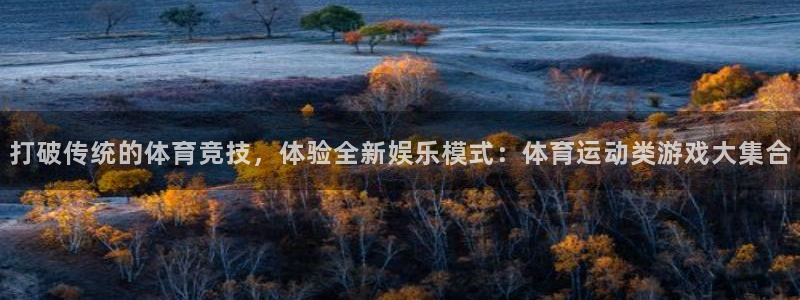 凯发官方正版app娱乐首页网站大全：打破传统的体育竞技，体验