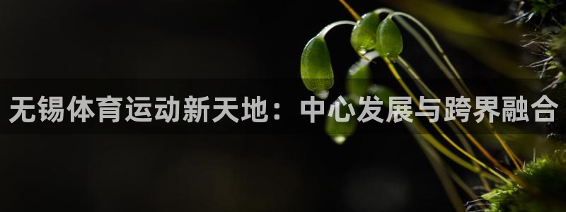 凯发官方正版app集团官网首页：无锡体育运动新天地：