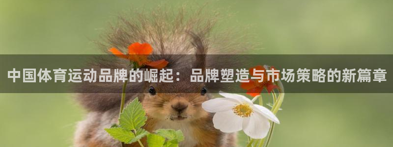 凯发官方正版app娱乐代理怎么样：中国体育运动品牌的