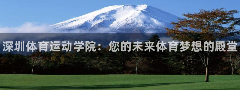 凯发官方正版app集团官网网址：深圳体育运动学院：您的未来体