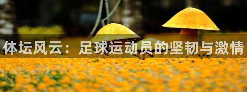 德国凯发官方正版app集团：体坛风云：足球运动员的坚韧与激情