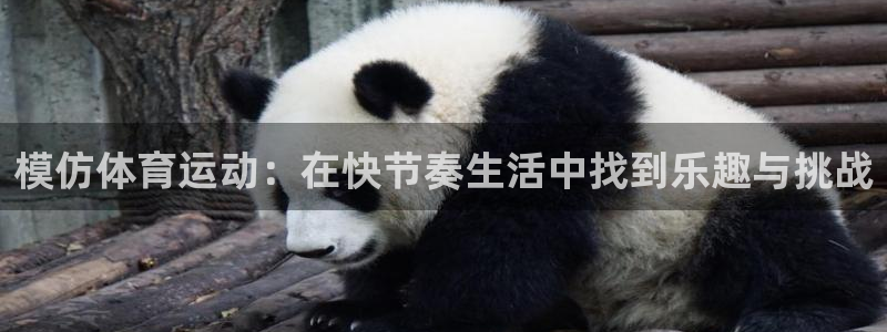 凯发官方正版app娱乐首页官网下载：模仿体育运动：在快节奏生