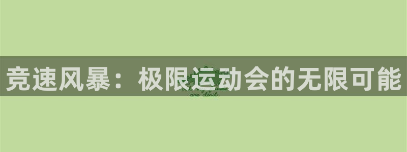 凯发官方正版app集团：竞速风暴：极限运动会的无限可能