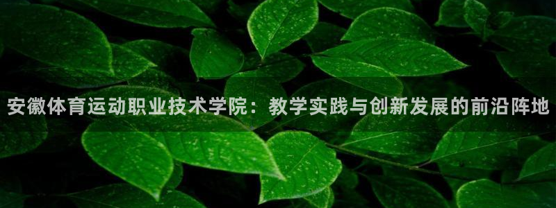 凯发官网下载招商电话是多少