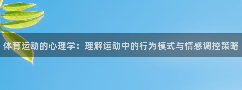 凯发官方正版app集团官网首页：体育运动的心理学：理解运动中